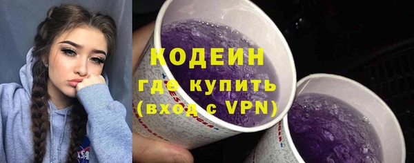 соль ск Абаза