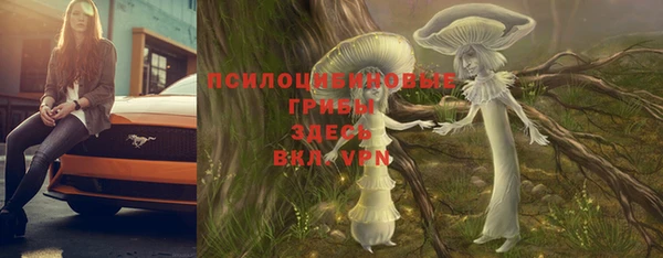 соль ск Абаза