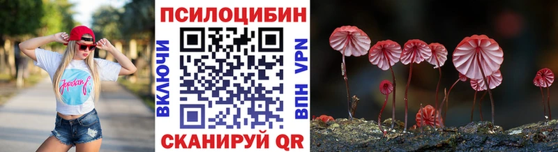 купить   Ангарск  KRAKEN вход  Псилоцибиновые грибы MAGIC MUSHROOMS 