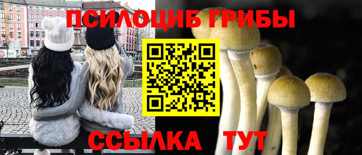 Псилоцибиновые грибы Cubensis Ангарск