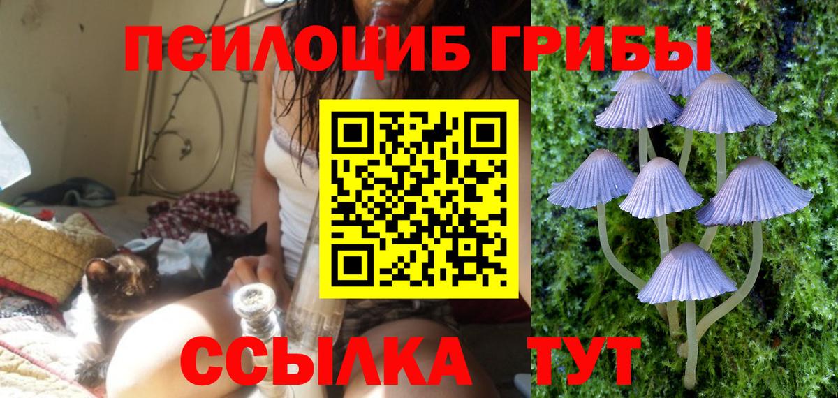 Ангарск  Галлюциногенные грибы Psilocybe  Вход с VPN 